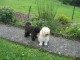 Thumbs/tn_Bild 014.jpg